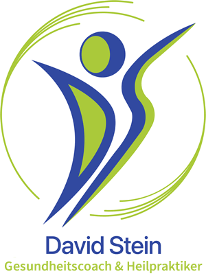 Logo Gesundheitscoach David Stein, Bendorf
